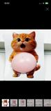 3D Squishy Belly Sticker Fidget Sticker Key Ring assorted