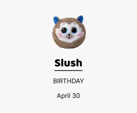 Ty Slush Beanie Bouncer