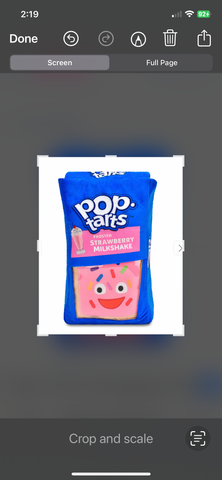 Pop Tarts Plush Pillow
