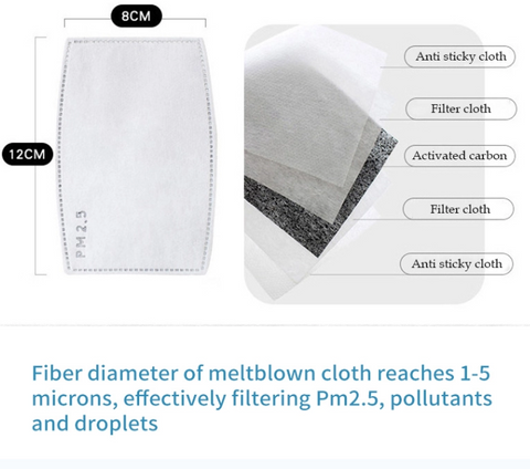 PM2.5 Activated Carbon Disposable Filters (5 Pack)