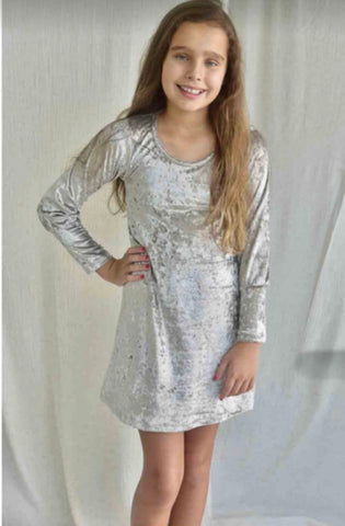 Area Code 407 Silver Velvet Dress